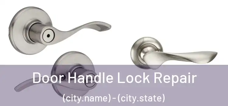 Door Handle Lock Repair (city.name) - (city.state)